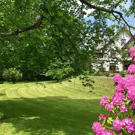 Manor House Bed & Breakfast Norfolk Eksteriør billede