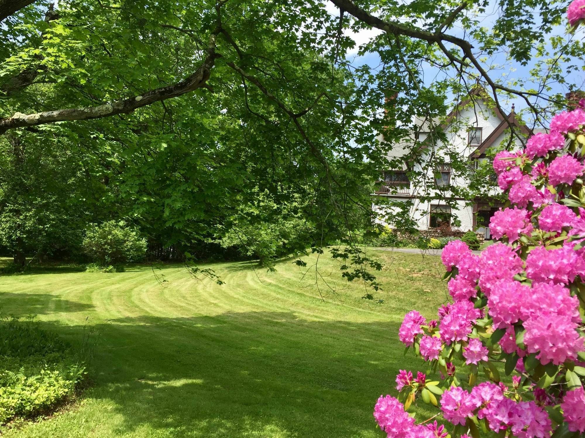 Manor House Bed & Breakfast Norfolk Eksteriør billede